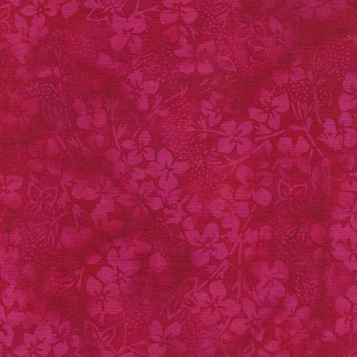 [112405360] Hydrangea-Red Cherry