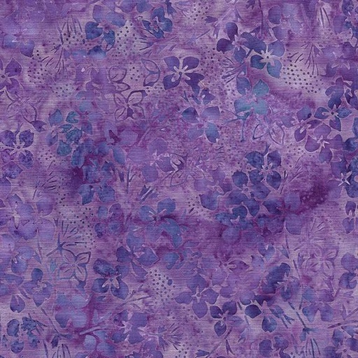 [112405425] Hydrangea-Purple Heather