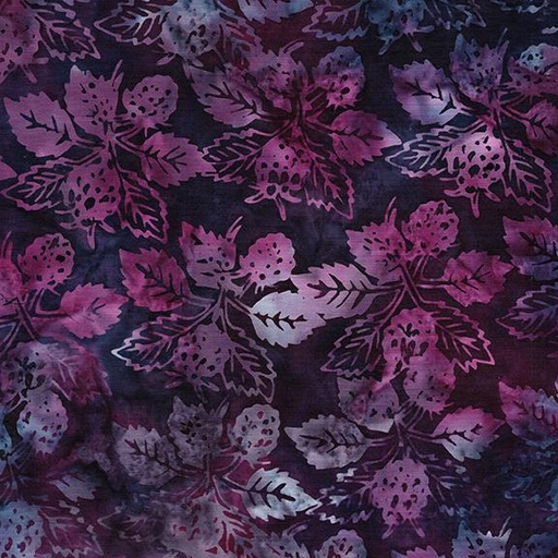 [712539890] Raspberries-Multi Purple Pink Iris