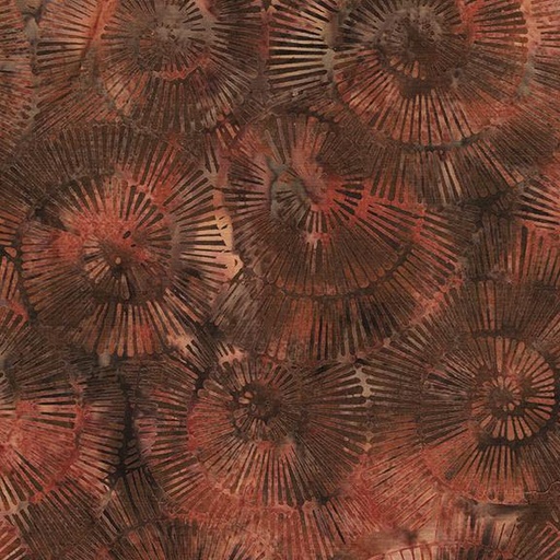 [112518078] Fossil Spiral-Brown Bronze