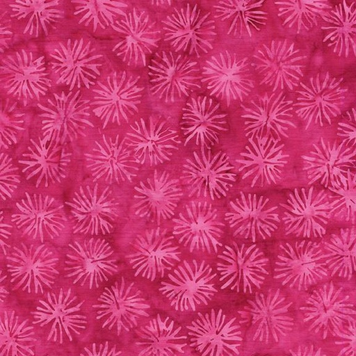 [712520145] Dandelion-Pink Raspberry