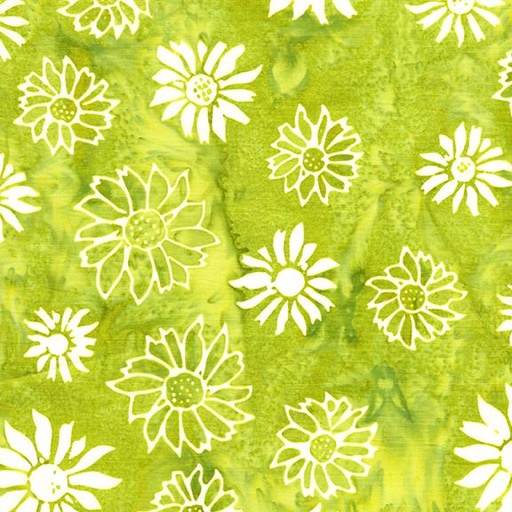 [912503625] Flower Heads-Green Seedling