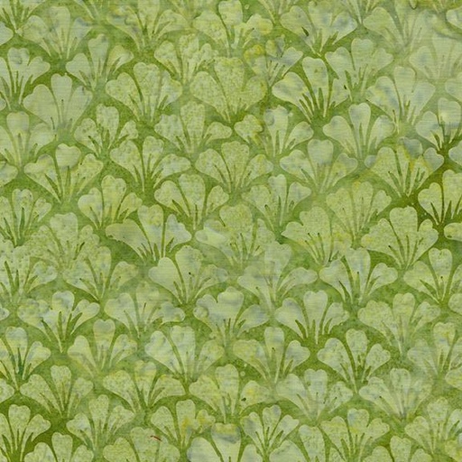 [512502610] Ginko -Green Honeydew