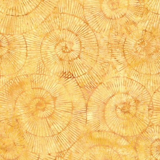[112518230] Fossil Spiral-Yellow Amber