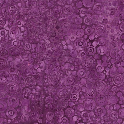 [112522460] Tiger Eye-Purple Hyacinth