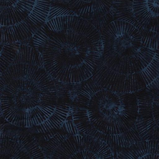 [112518595] Fossil Spiral-Blue Midnight Blue