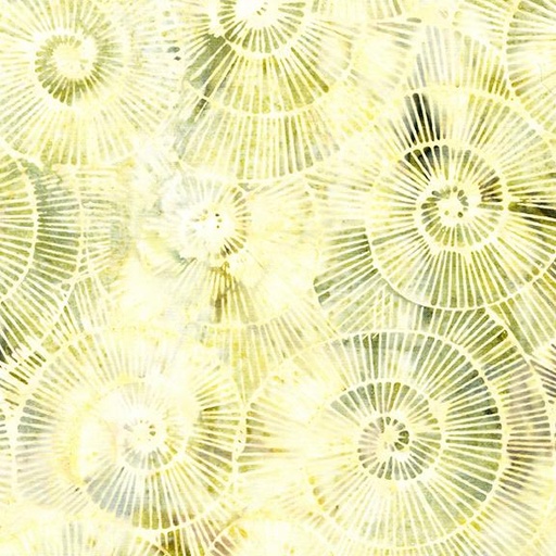 [112518038] Fossil Spirals-Neutral Alabaster