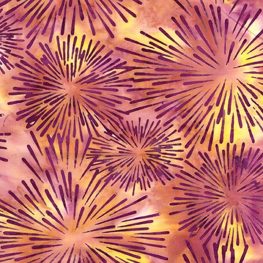 [612501810] Burst-Multi Pink Orange Sunset