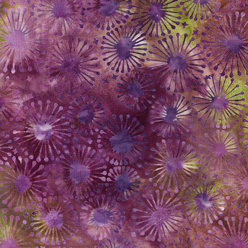 [712406892] 712406892 / Dandelion-Multi Purple Yellow