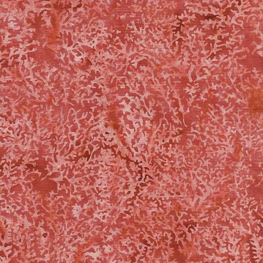 [112417325] 112417325 / Coral-Red Tangy