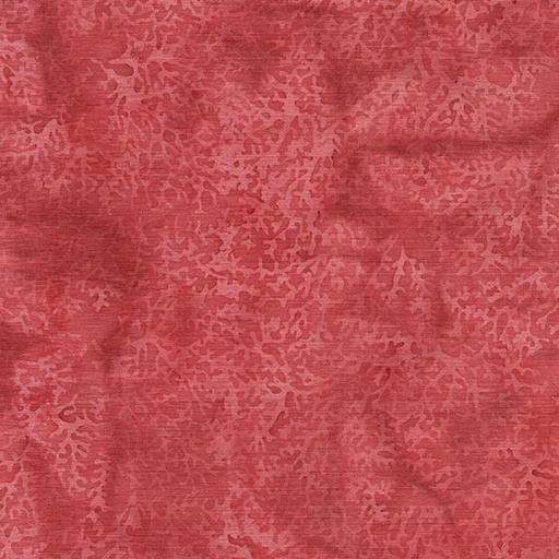 [112417335] Coral-Red Coral