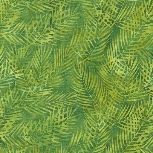 [112413682] 112413682 / Tossed Palm-Green Frog