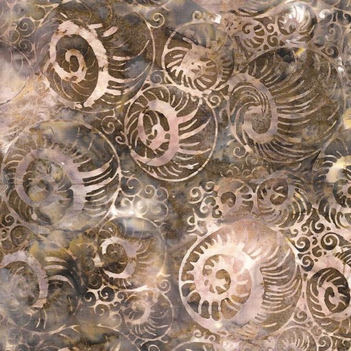 [512406067] 512406067 / Abstract Nautilus-Brown Toast