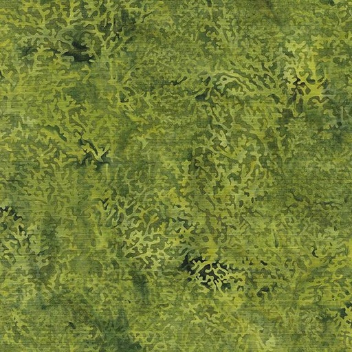 [112417650] 112417650 / Coral-Green Gecko