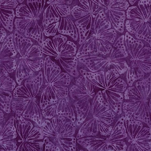 [112506430] 112506430 / Monarch-Purple Jelly