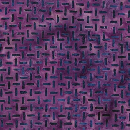 [412503420] 412503420 / Path-Purple Urchin