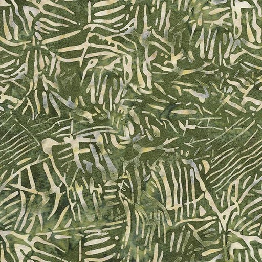 [522302660] 522302660 / Vines-Green Cactus