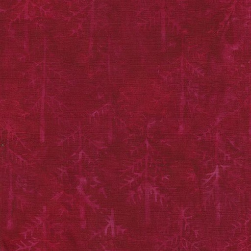 [122333370] 122333370 / Pinetrees-Red Cardinal