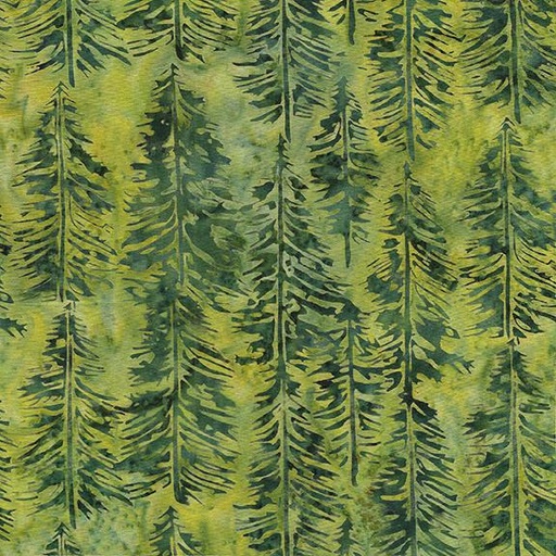 [122336645] 122336645 / Evergreen-Green Ivy