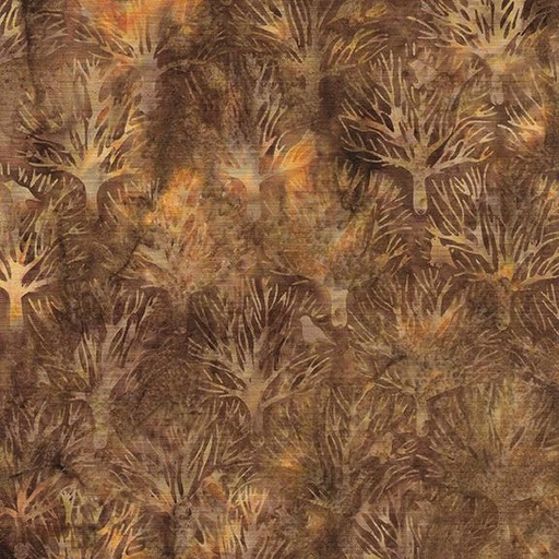 [122416076] 122416076 / Tree Raven-Brown Brownie