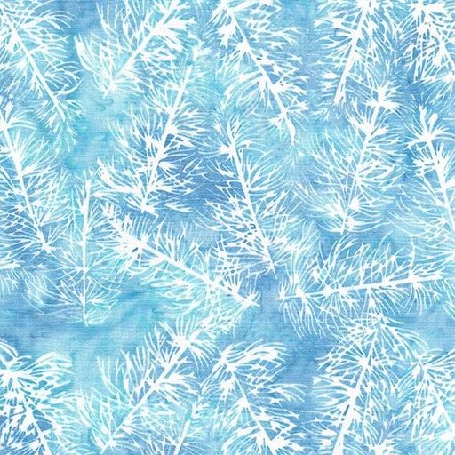 [122404510] 122404510 / Pine Needles Long-Blue Sky