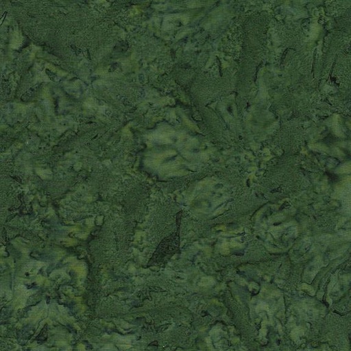 [Turtle] Turtle