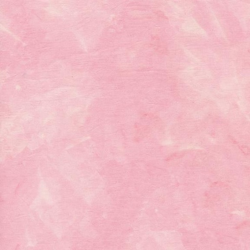 [Carnation] Carnation