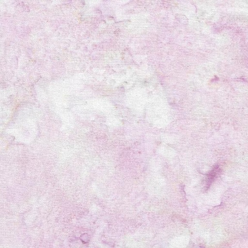 [Tea Rose] Tea Rose