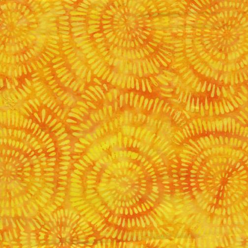 [BE22-C1] Dandelion-Daffodil