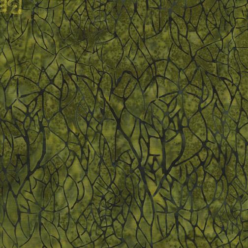 [BE27-G2] Large Netting-Ivy