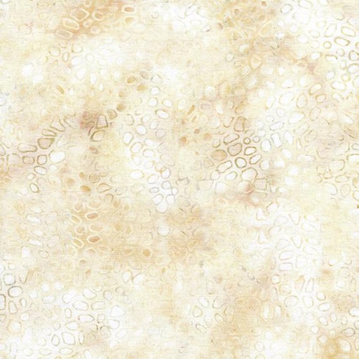 [Mocha] Mocha