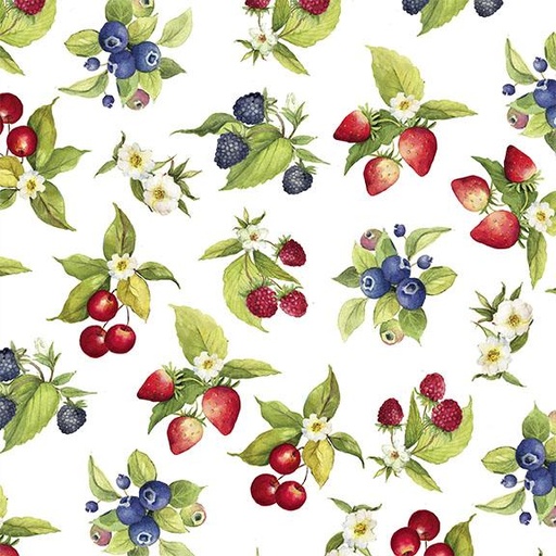 [W105-012-003] W105-012-003 / Fruit Toss-White
