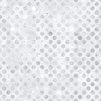 [W165-001-041] W165-001-041 / Codici-Silver